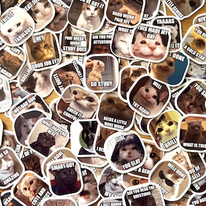 Pezzi di meme di gattini casuali / Versione inglese / Adesivi per insegnanti / Più di 100 design / Adesivi meme personalizzati
