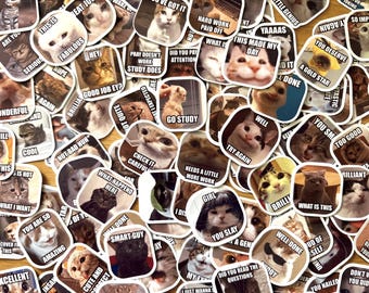 Pezzi di meme di gattini casuali / Versione inglese / Adesivi per insegnanti / Più di 100 design / Adesivi meme personalizzati