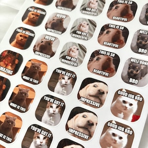 Vol.2 Ensemble d'autocollants en anglais pour mèmes d'animaux, 40 pcs | Plus de 100 modèles | Achetez-en un, obtenez-en un gratuitement | Stickers chien hamster chat | Sticker personnalisé
