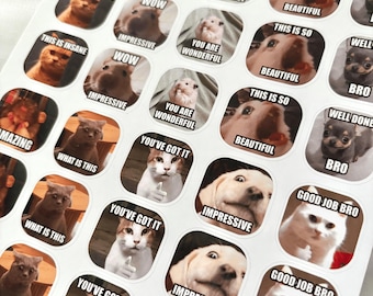 Animal Meme Sticker Set | Teacher Feedback Stickers | 40 pcs