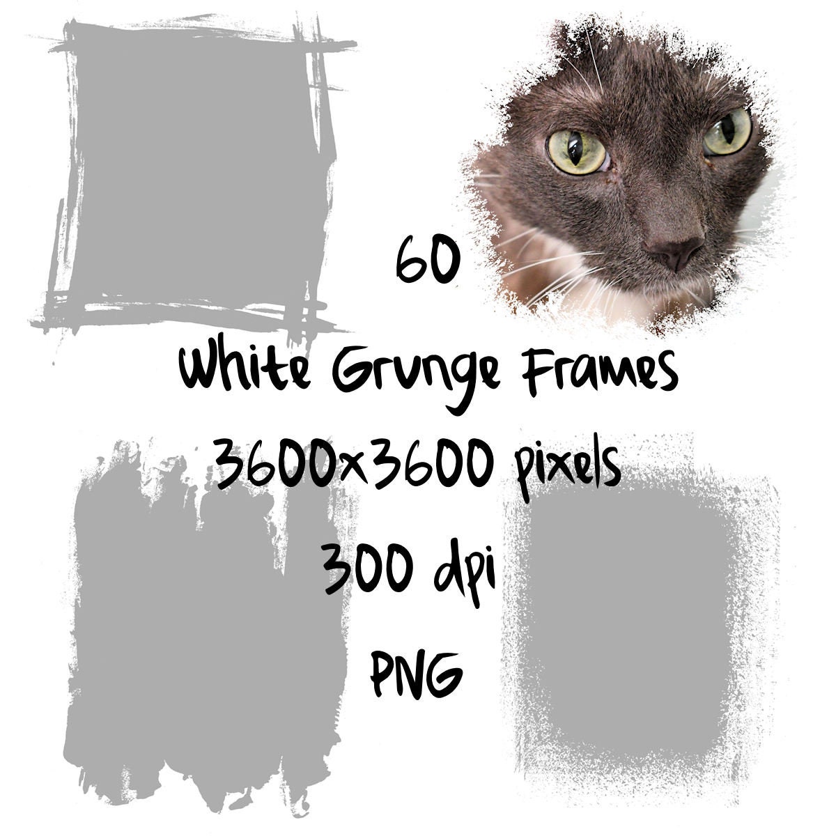 60 White Grunge Frames Transparent Overlay, Photo Borders PNG, Grungy Texture, Paint Splatter Smudge Digital Design, Commercial Use