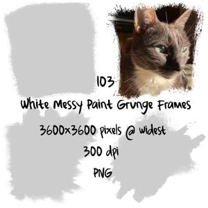 Può includere: Una cornice grunge bianca di vernice disordinata con il testo "103 White Messy Paint Grunge Frames 3600x3600 pixels @ widest 300 dpi PNG" su di essa. La cornice ha la forma di un rettangolo con angoli arrotondati. La cornice copre parzialmente una foto di un gatto grigio e bianco.