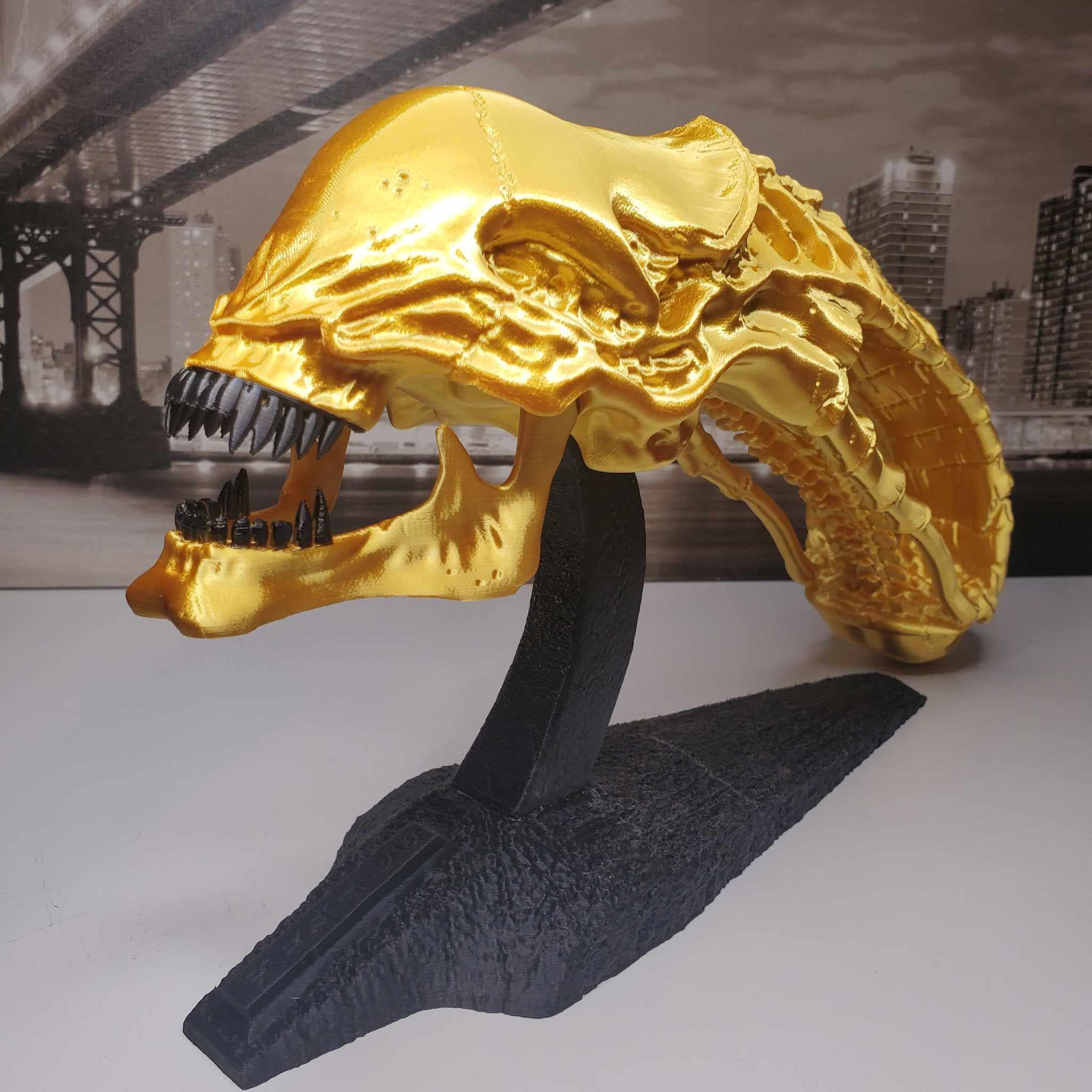 プレデターとゼノモーフ エイリアンの頭蓋骨モデルの置物 3D プリント