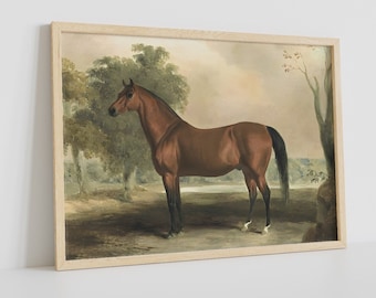 Edward Troy Antique Horse Painting: Vintage Equestrian Wall Art