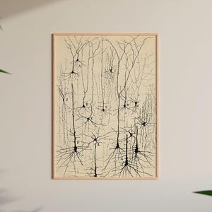 以下が含まれることがあります： ニューロンの科学イラストの額入りヴィンテージプリント。このアートワークは、脳細胞の構造を描いた黒い線で構成され、文字でラベル付けされています。プリントは薄いベージュの背景と自然な木製のフレームで、科学教室や家の装飾に適しています。