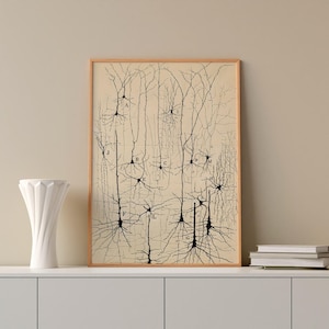 以下が含まれることがあります： ニューロンを描いた科学イラストの額入りヴィンテージプリント。このアートワークは、脳細胞の詳細な白黒の図面で、セクションにラベルが付けられています。プリントは明るい木製のフレームに入っており、背景はニュートラルなベージュ色です。