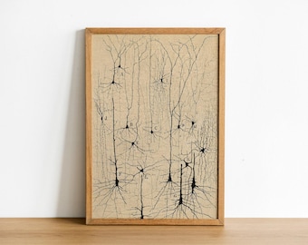 Antique Neuron Anatomy Print | Santiago Ramón y Cajal Canvas, Vintage Science Wall Art, Doctor Office Decor