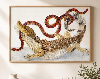 Maria Sibylla Merian Reptile Print, Crocodile and Snake Wall Art