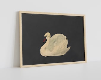 Aert Schouman Swan Painting: Vintage Framed Fine Art Print