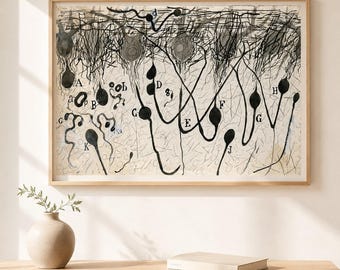 Santiago Ramón y Cajal Neuron Drawing, Vintage Neuroscience Wall Art