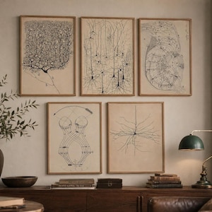 May include: A set of five framed wall art prints featuring black ink anatomical illustrations of neurons and neural pathways on beige paper. Each print displays intricate branching structures, scientific labels, and diagrams of brain cells.