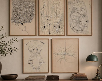 Neuron Wall Art Set of 5, Santiago Ramón y Cajal Neuroscience Prints