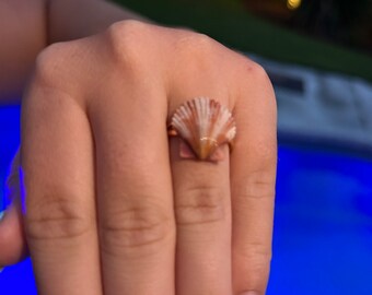 Handmade seashell jewelry!