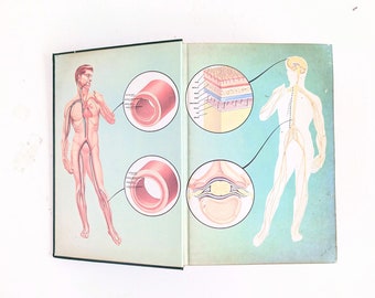 Vintage Medical Book, Vintage Health Book, Vintage Encyclopedia, Vintage Health Medical Guide, Sixties Medical Guide, Home Health Guide