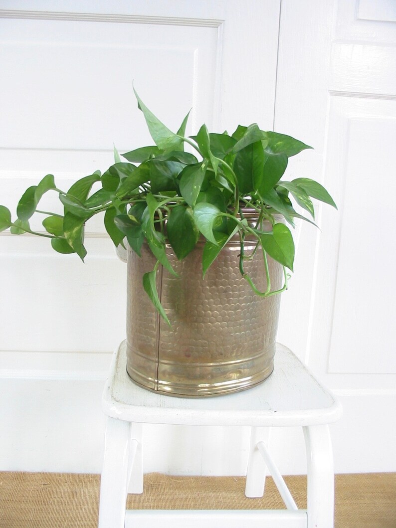 Boho Decor Vintage Brass Indoor Brass Planter Bohemian Decor Vintage Metal Pot Vintage Large Brass Pot Brass Trash Can Metal Planter
