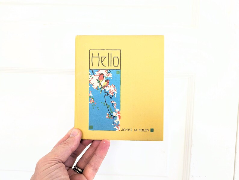 Pode incluir: Um livro amarelo com o t&iacute;tulo "Hello" em texto preto. A capa apresenta um fundo azul com um ramo de cerejeira em flor branca e dois p&aacute;ssaros amarelos. O nome do autor, "JAMES W. FOLEY", est&aacute; impresso em texto preto na parte inferior da capa.