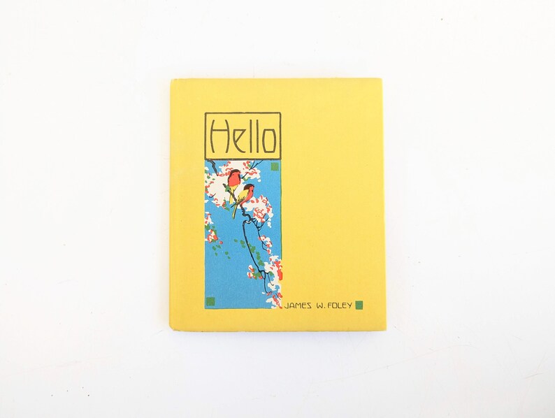 Pode incluir: Um livro amarelo com o t&iacute;tulo "Hello" em texto preto. A capa apresenta uma ilustra&ccedil;&atilde;o azul de um galho de &aacute;rvore com flores cor-de-rosa e dois p&aacute;ssaros amarelos. O nome do autor, "JAMES W. FOLEY", est&aacute; impresso em texto verde na parte inferior da capa.