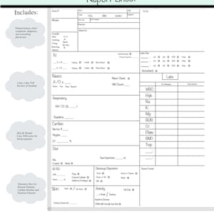 May include: A white and green medical report sheet with the title "Tele/Stepdown Report Sheet". The sheet includes sections for patient information, vital signs, labs, and discharge disposition.