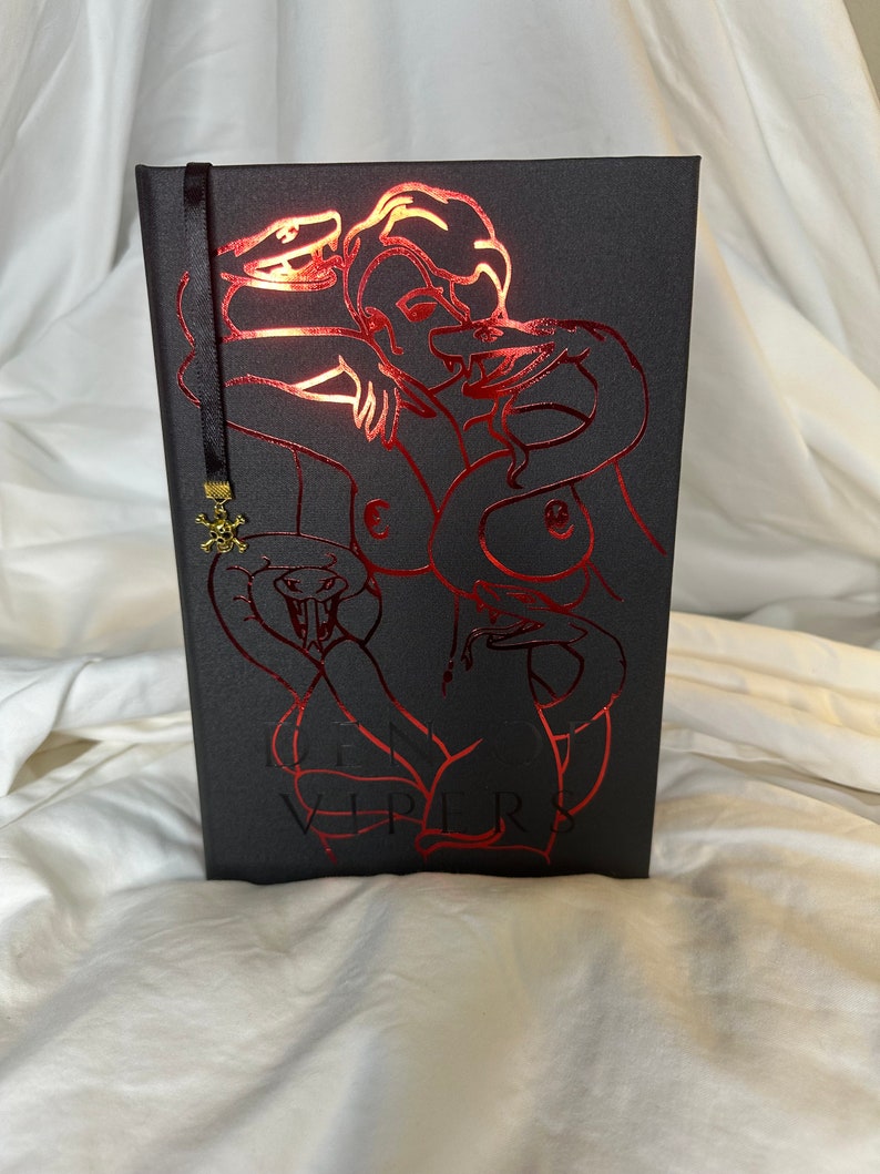 Den der Vipers Rebind | Individuelles Buch | Tiktok Buchbinder | Dunkelromantische Bücher Bild 1