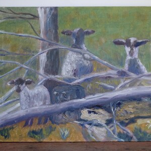 Oil Painting of Sheep Unframed
