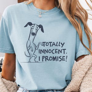 Funny Greyhound T-Shirt, Funny Dog Owner Tee, Whippet Lover Gift, Greyhound Shirt, Dog Mom and Dad Gift, Greyhound Gift, Comfort Colors