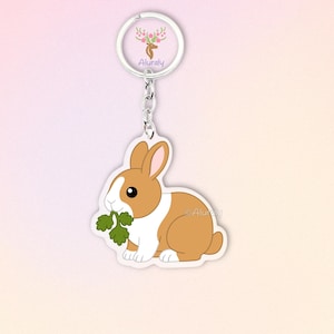 Broken Red Netherland Dwarf Rabbit Acrylic Keychain, Cute Cartoon Bunny Charm, Pet Lover Gift, Small Animal Accessories, Pet Memorial