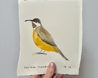 Watercolour original - Eastern Spinebill