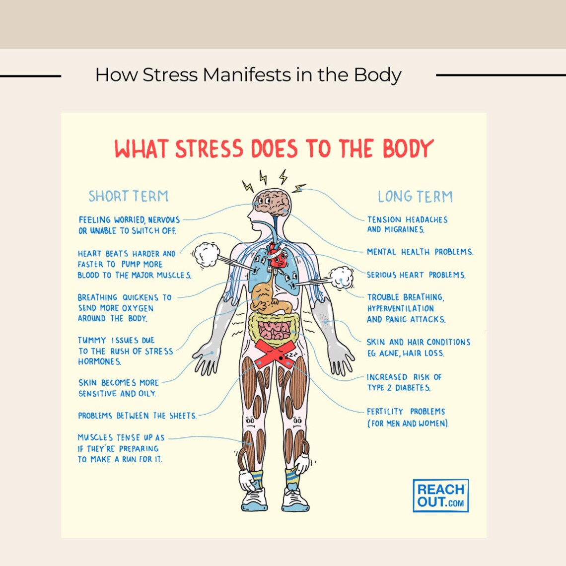 Thumbnail for Stress Relief Programs For Young Adults