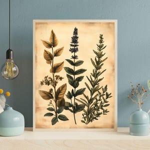 Vintage Botanical Herbs Print, Field Herbs Wall Art, Antique Herb Illustration, Digital Botanical Artwork, Herb Garden Print