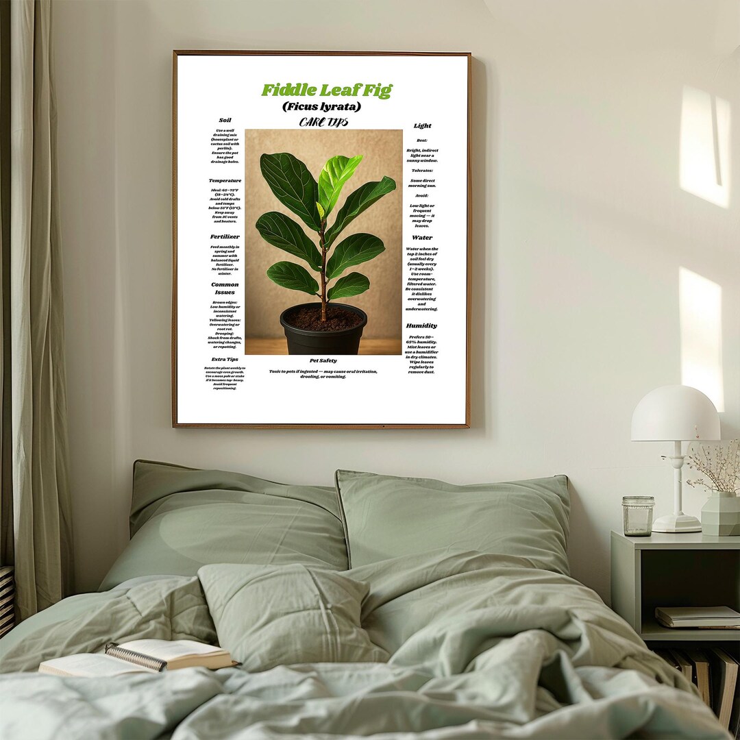 Fiddle Leaf Fig Care Tips, Ficus Printable Guide, Indoor Plant Care ...