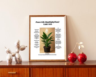 Peace Lily Care Tips Wall Art Printable, Spathiphyllum Plant Guide,Indoor Houseplant Decor Digital Download, Botanical Art for Plant Lovers.