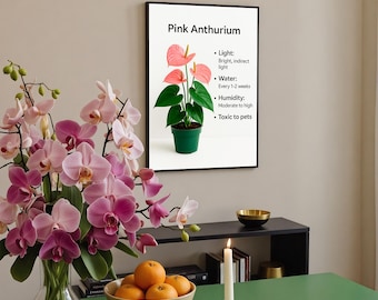 hanging plant chandelier Plant Hanger Chandelier – Seedor