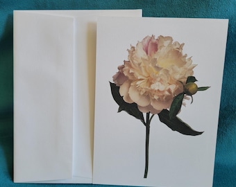 Vintage Martha Stewart Peony Invitations S/15