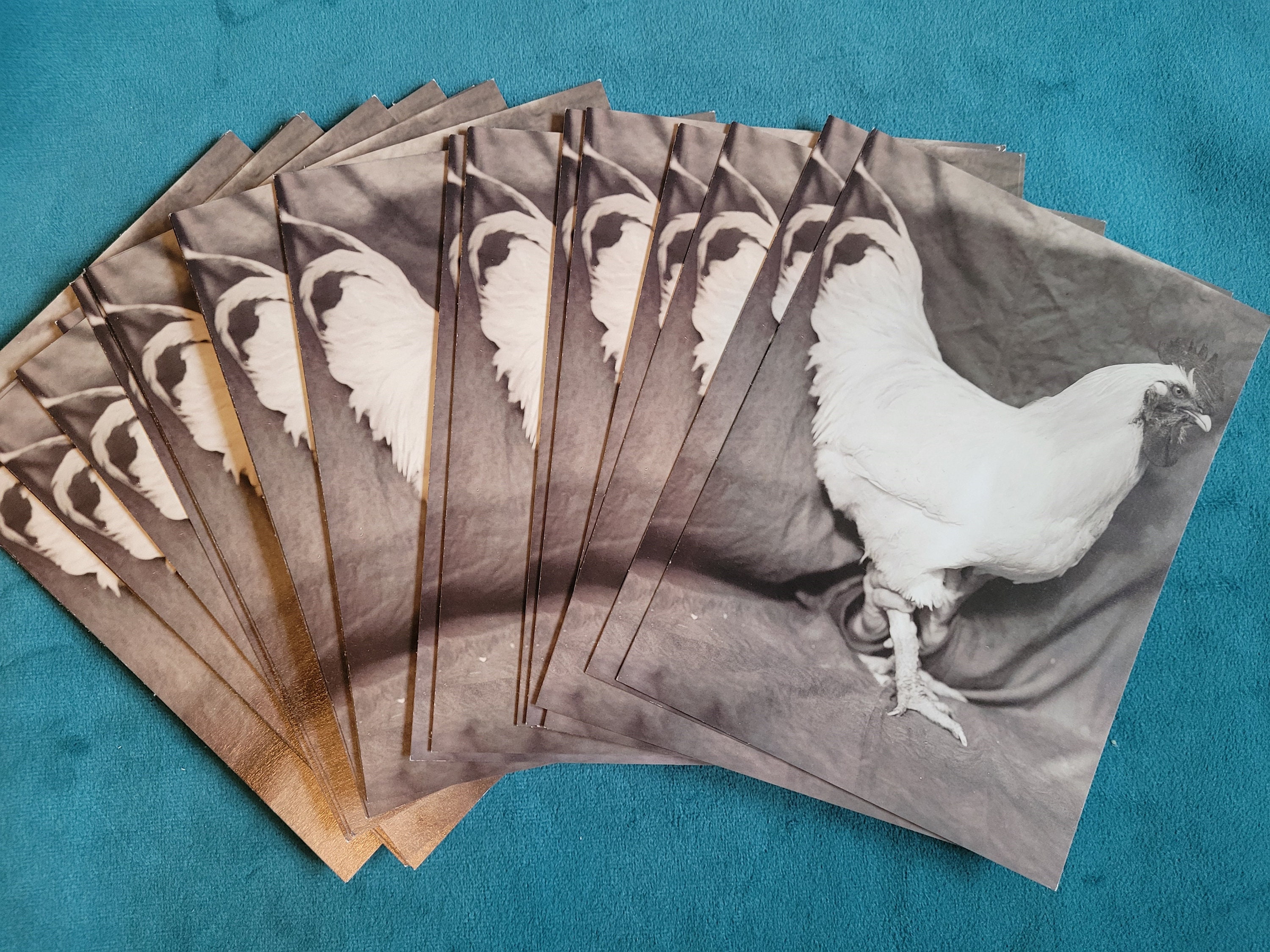 Martha by Mail Catalog - Etsy