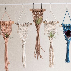 Pattern: DIY Macrame Air Plant Hanger Pattern, Flat Wall Planter, DIY Macrame, Plant Hanger Pattern, Macrame Pattern image 3