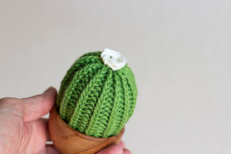 Knitted Plants Flower Knit Succulent Cacti Cactus Plants Etsy