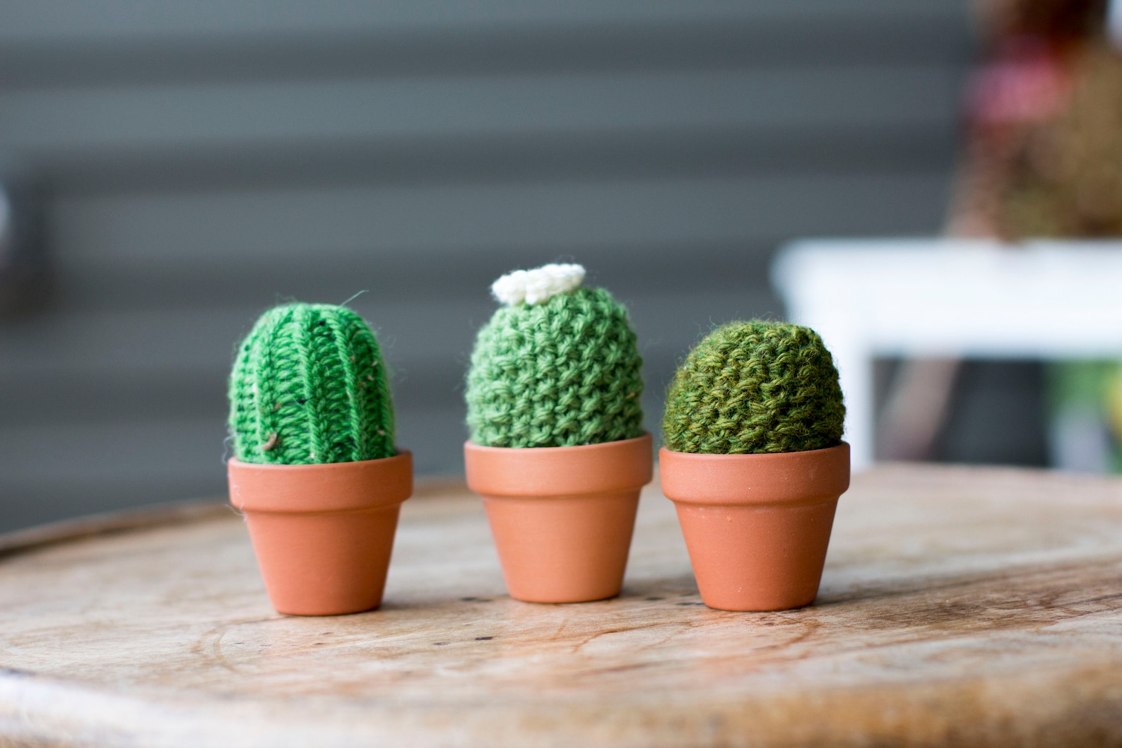 Knitted Plants Flower Knit Succulent Cacti Cactus Plants Etsy UK