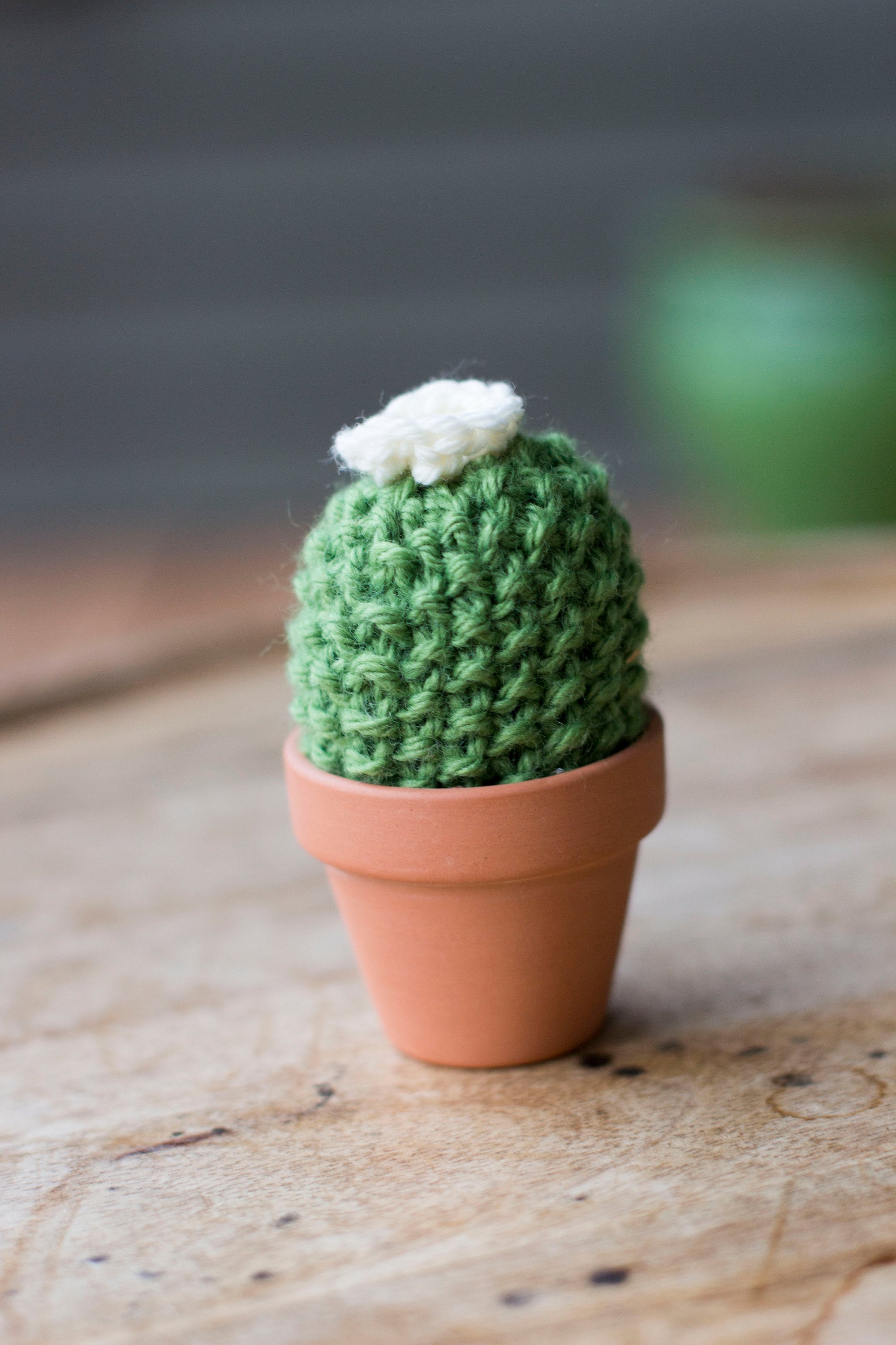Knitted Plants Flower Knit Succulent Cacti Cactus Plants Etsy