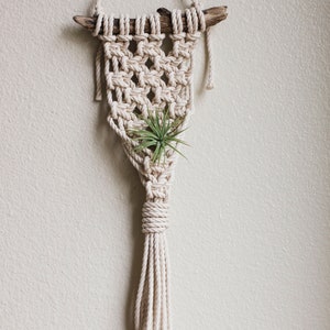 Pattern: DIY Macrame Air Plant Hanger Pattern, Flat Wall Planter, DIY Macrame, Plant Hanger Pattern, Macrame Pattern image 4