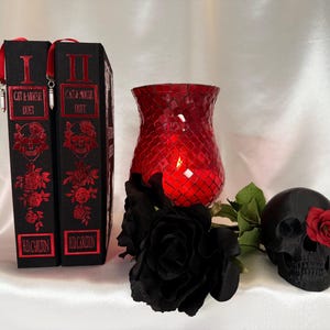 Cat and Mouse Duet - Haunting Adeline & Hunting Adeline – Custom Bookbinding Set - Customizable Colors image 3