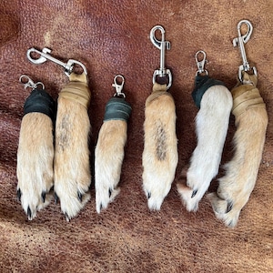 May include: A collection of keychains featuring animal paws with metal clasps. The paws are various shades of tan and white, with black claws. Some paws have dark green or tan leather accents. The keychains are arranged on a brown leather surface.