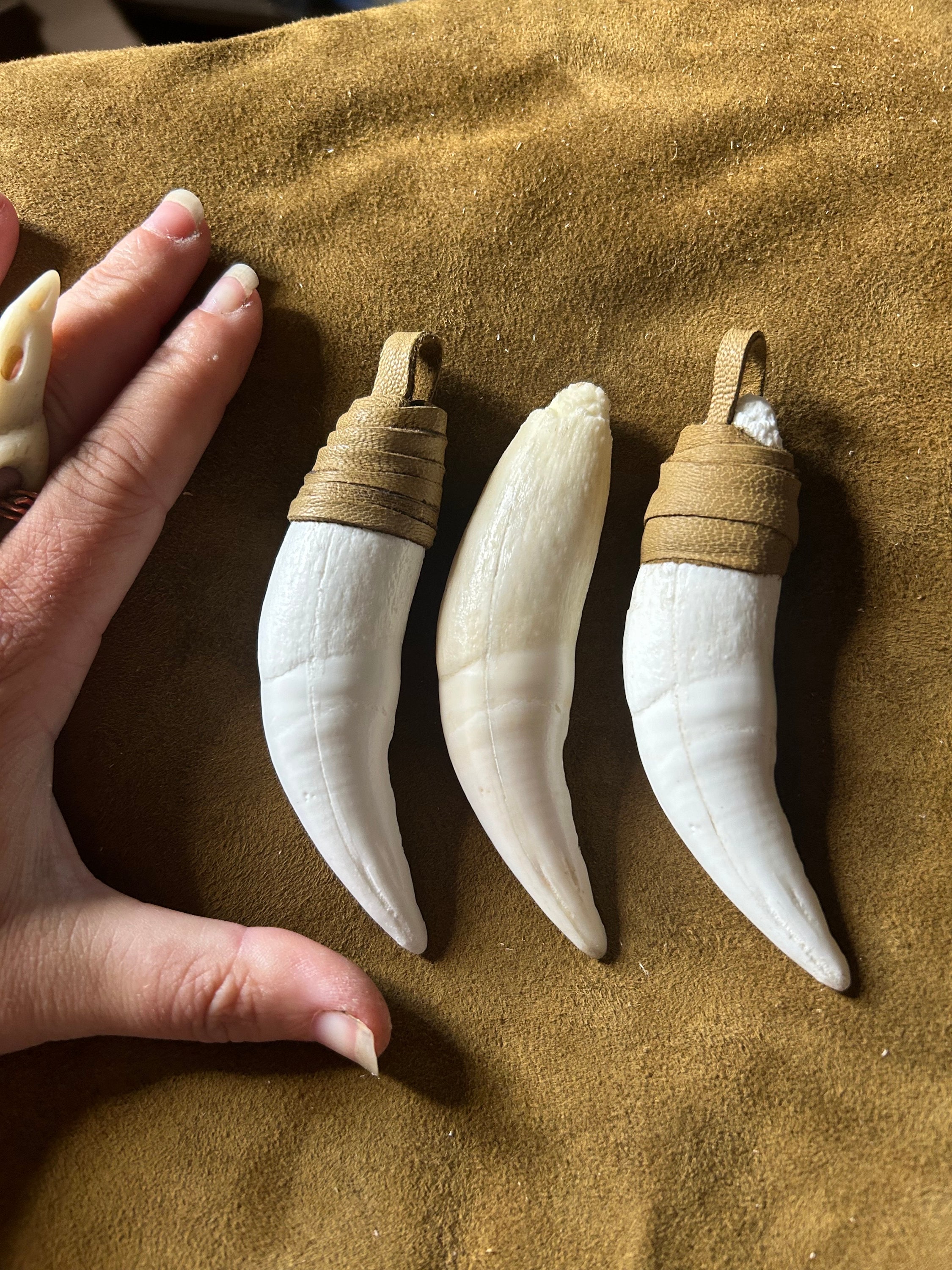 Quality Leather-wrapped Replica African Lion Tooth Pendant, Cast