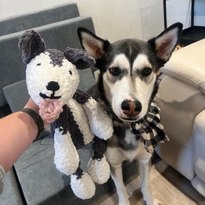 CUSTOM Dog Plushie
