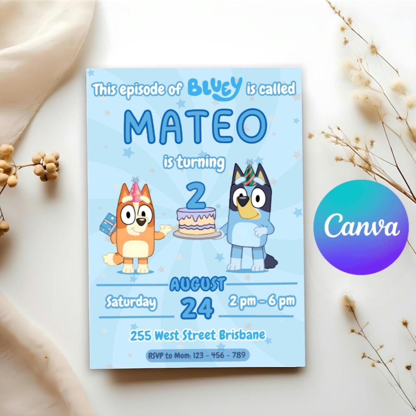 3 Size Bluey Template Set