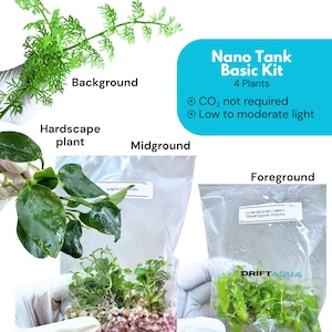 May include: A Nano Tank Basic Kit containing four aquatic plants labelled for background, hardscape, midground, and foreground placement. The kit includes text stating CO2 not required and low to moderate light. The plants are in clear plastic bags.