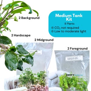 May include: A Medium Tank Kit containing 8 aquarium plants in clear plastic bags. The kit includes background, hardscape, midground, and foreground plants. Text on the image reads: Medium Tank Kit, 8 Plants, CO2 not required, Low to moderate light.
