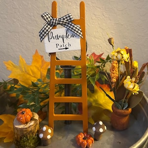 May include: An orange decorative ladder with a sign that reads "Pumpkin Patch" and a black and white checkered bow. The scene includes miniature pumpkins, mushrooms, and fall foliage, creating a seasonal autumn theme.