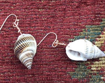 Real shell earrings in rose gold, gold or silver, shell jewelry, beach jewelry, summer earrings, boho jewelry, rose gold jewellery,