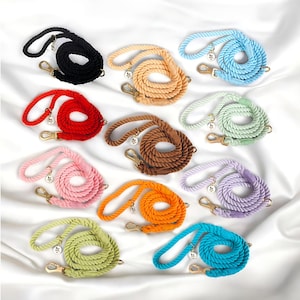 Puede incluir: Diez correas para perros de cuerda de colores con herrajes dorados. Las correas están dispuestas en círculo sobre un fondo blanco.