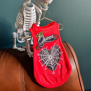 Pet Halloween Costume Set: Queen Shirt + Spider Hairpin - Trick or Treat Ready, dog clothes, pet clothing, pet costume party, dog Halloween